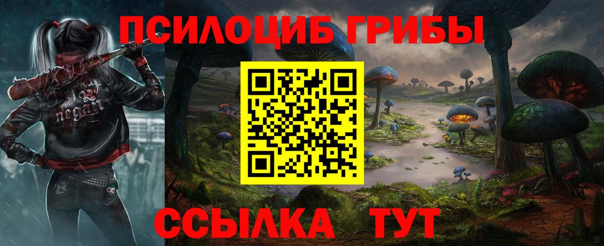 Псилоцибиновые грибы Psilocybe Дзержинский