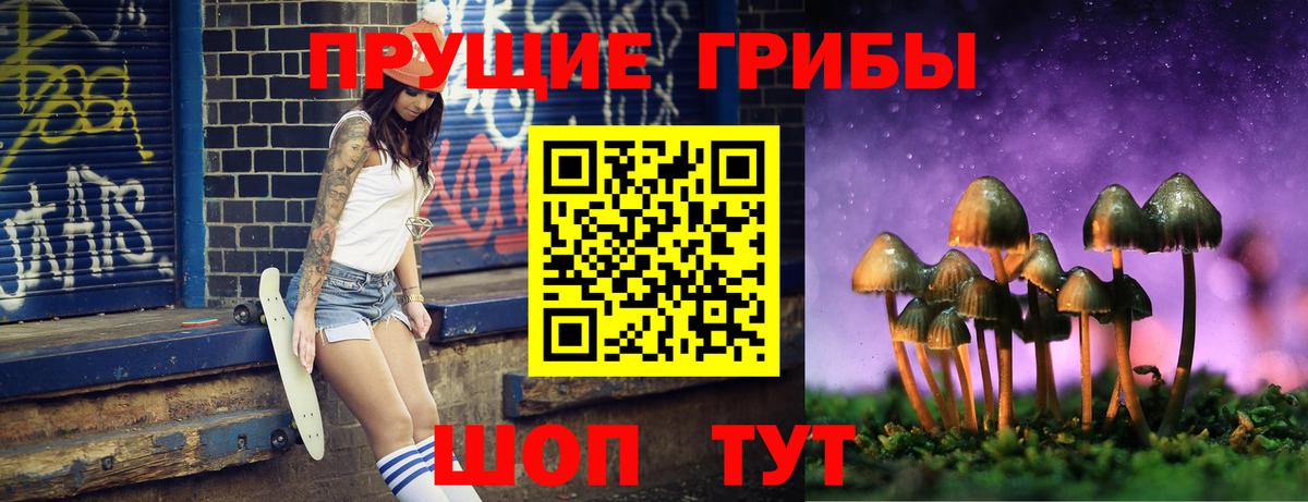 Галлюциногенные грибы Cubensis  Псилоцибиновые грибы Cubensis  Дзержинский  Вход с VPN 
